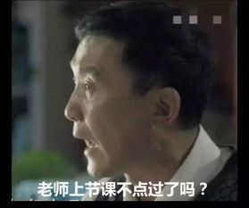 孙连成表情包