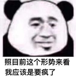 大概是疯了表情包,揭秘大概是疯了背后的幽默魅力